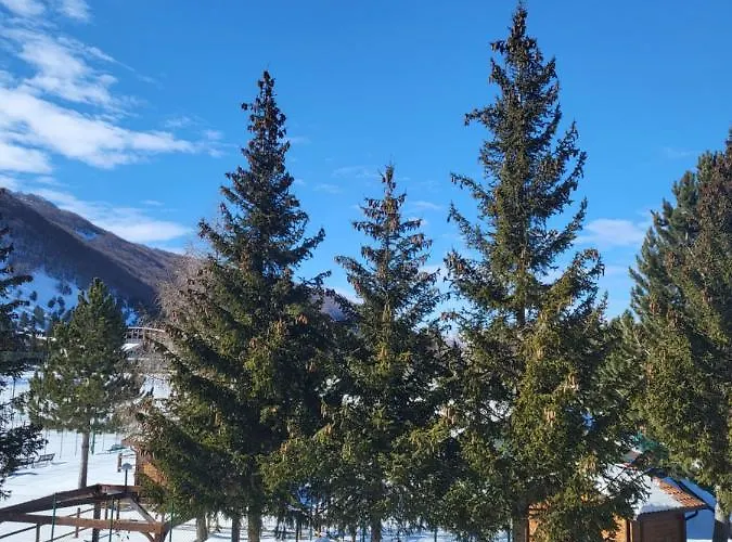 Stella D\'Abruzzo
